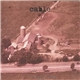 Cable - It Cost Me Everything 1994​-​1995